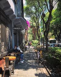 Take a look ahead at all the major movie releases coming to theaters and streaming this season. Sdf Scene Report Mexico City North America S Largest City Is By Kori Higgins Stellar Community Medium