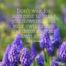Pin By Better Homes Gardens On Gorgeous Garden Plants Flower Quotes Garden Quotes Short Flower Quotes