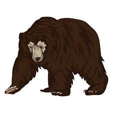 Want to find more png images? Grizzly Bear Png Svg Transparent Background To Download