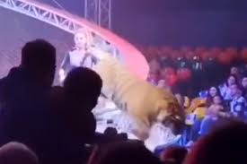 Tiger jumps into circus crowd after net falls in big top horror as 'children screaming'