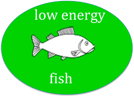 The book gives guidelines to the reader first observation and then translating them into paper. Draw And Label A Catfish Shefalitayal