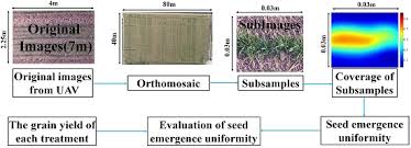 Remote Sensing Free Full Text Evaluation Of Seed Emergence Uniformity Of Mechanically Sown Wheat With Uav Rgb Imagery Html