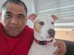 Request for broshers with no harm intended