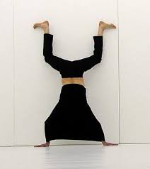 Risultato immagini per MONDO CAPOVOLTO