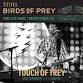 Touch of Trey at Birds of Prey event image