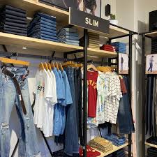 Image result for Sutera levis