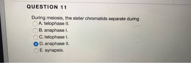 Polyploidy, is an occurrence in which more than two sets of haploid chromosomes are present. Question 7 How Many Sets Of Chromosomes Are In A Chegg Com