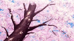 Share the best gifs now >>>. Cherry Blossom Tree Tumblr Anime Scenery Anime Scenery Wallpaper Anime Background