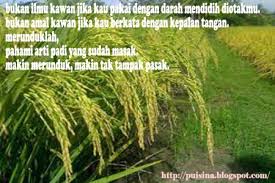 Check spelling or type a new query. Merunduk Artinya
