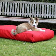 Outdoor Summer Vibes Dog Mattress Collection Dog Mattresses Dog Cushions Mattress Covers