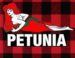 Little pete has had enough and now he's going to answer the call! Petunia Little Pete S Tattoo By Jacob Anderson Redbubble