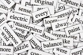 Image result for vocabulary words