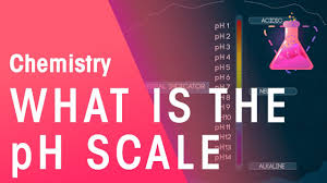 What Is The Ph Scale Acids Bases Alkalis Chemistry Fuseschool