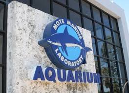 Mote Marine Laboratory 1 2 Off Admission With A Lowry Park Zoo Membership As Part Of The Reciprocal Program Sarasota Sarasota Florida Florida Travel