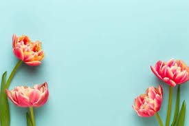 Maybe you would like to learn more about one of these? Local Florist Surprises Culpeper Residents With Tulip Bouquets Lifespire Of Virginia