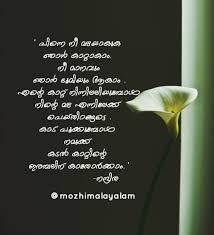 Pin By Anagha On Mazhayormakal Malayalam Quotes Thoughts Quotes Thoughts