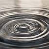Therefore, sanctions, for both the defendants and xrp's retail holders, are likely to be out of the question. 1