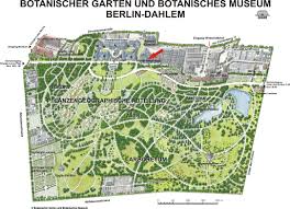 Vermietung Von Raumlichkeiten Im Botanischen Garten Und Botanischen Museum