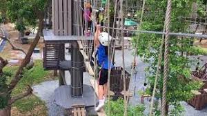 Forest adventure is one of the most entertaining games on softgames. Forest Adventure Kids Course Wobbly Logs Upper Layer Youtube