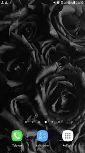 We did not find results for: Black Flower Live Wallpaper For Android Apk Download