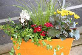 Afin de trouver le modèle adapté à vos besoins, il est conseillé de tenir compte des propriétés particulières des différents matériaux. Jardiniere D Ete Idees De Plantes Et Conseils Jardiner Malin