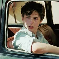 Call Me By Your Name Timothee Chalamet Elio Perlman In 2020 Timothee Chalamet Timmy T Guys