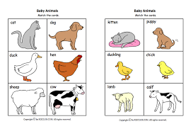 Pin By Caitlin On Science Animal Activities For Kids Baby Farm Animals Animal Activities