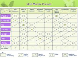 Skill Matrix By Md Mazharul Islam