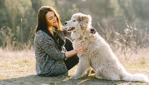 30 reviews of blue cross pet clinic if you have furry kids, you know the number one killer of pets is gum disease! Veterinary Clinics Hospitals Bangalore