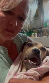 Daniel & #Maya ♥️ #DogsAngel