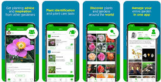 If you want to know the plant's name, then just upload a snap of it on this app. Know The Nature More Closely And Deeply With Plant Identification Apps