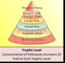 Soil formation.—the transformation of rock into soil is designated as soil formation. Soil Pollution Definition Causes Pesticides After Effects Videos Q A