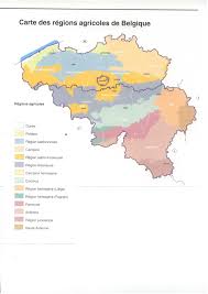 Les flamands, un peuple germanique qui parle le flamand (hollandais) au nord du pays, et les wallons. Complement Du Site Relatif Au Bail A Ferme