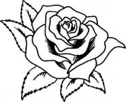 Desene in creion cu natura copaci flori. Sheet Assortment Disgusting Desene De Creion Usoare Trandafir Whisksandwit Com