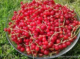 Pates De Fruits A La Groseille Maman Tambouille Pates De Fruits Groseille Fruits