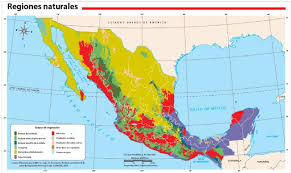 Fii la curent cu ultimele descoperiri ale stiintei, curiozitati geografice, locuri si tot ce trebuie sa stii despre lumea inconjuratoare. Conaliteg 6 Grado Geografia Atlas Atlas De Geografia Del Mundo Comision Nacional De Libros De Texto Gratuitos Conaliteg Geografia Libro De Texto Primarias O Rta Osiyo Va O Zbekiston Tabiiy Geografiyasi