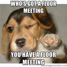 Floor Meeting Meme Google Search Funny Happy Birthday Meme Happy Birthday Quotes Funny Funny Birthday Meme