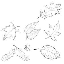 Vorlage Zum Ausdrucken Und Ausmalen Unterschiedliche Herbstblatter Fensterbilder Herbst Vorlagen Fensterbilder Herbst Herbst Blatter