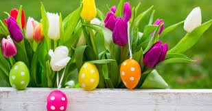 Artisanal ou original, à chacun son chocolat. Offres De Paques 2021 Misano Adriatico Pension Complete Hotel Riviera