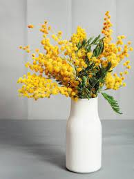 Check spelling or type a new query. Women S Day Celebration Best International Women S Day Flowers