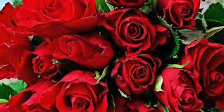 Valentin blumen sind ganzjährig ein symbolträchtiges geschenk, daher sind rote rosen auch zum valentinstag liebesgeschenke. Valentinstag Die Schonsten Geschenkideen Fur Frauen