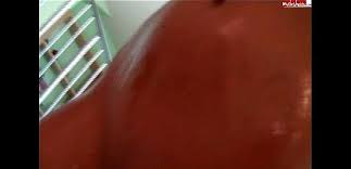 Vom user gefesselt und mit der faust zum orgasmus gefistet. Heil Gefingert High Quality Porn Video Ofysex Com Porno Sex Tube