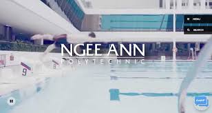 Submitted 15 days ago by snoomaps8044. Ngee Ann Polytechnic E Spin Group