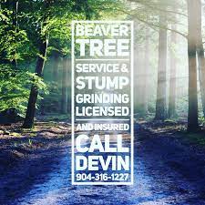 Beaver Tree Service And Stump Grinding Local Family Owned And Operated Lic Ins Com Res Call Devin 904 316 1227 R Tree Service Tree Pruning Tree Removal