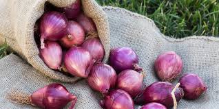 Provinsi ini berbatasan langsung dengan negara tetangga malaysia, yaitu negara bagian sabah dan sarawak. Kendalikan Inflasi Bi Dorong Produktivitas Bawang Merah Fin Co Id