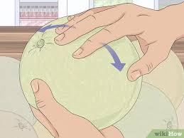 If you can hear the seeds rolling around in there, then it's ripe. 4 Simple Ways To Choose A Honeydew Melon Wikihow