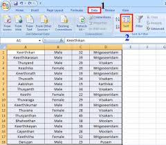 Categories include colors, numbers,and animals. How To Sort Names In Alphabetical Order In Excel Webapptiv Blog