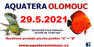 Srpna 2021 bohatý program se spoustou lákadel v rámci výstavy letní flora olomouc, doplněný o letní zahradnické trhy, které nabídnou široký . Aquatera Olomouc Startseite Facebook