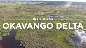 Botswana's okavango delta is one of the most unique ecosystems in the world, and it's teeming with some iconic african wildlife. Okavango Delta Botswana Safari365 Youtube