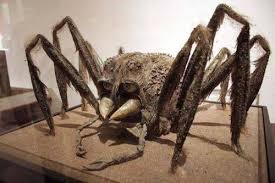 47 Pics That Will Make You Say Nope Creepy Creepy Images Sweet Memes